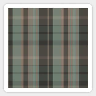 Dark Academia Aesthetic Conall 2 Hand Drawn Textured Plaid Pattern Sticker